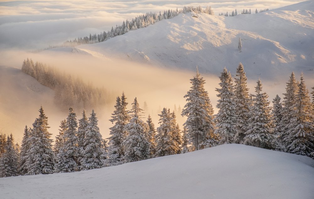 Photograph by Ceausescu Adriana