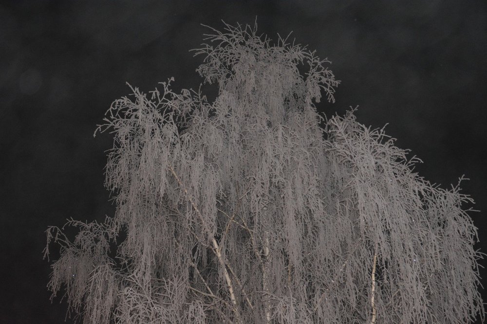 Photograph by Ксения Лебедева