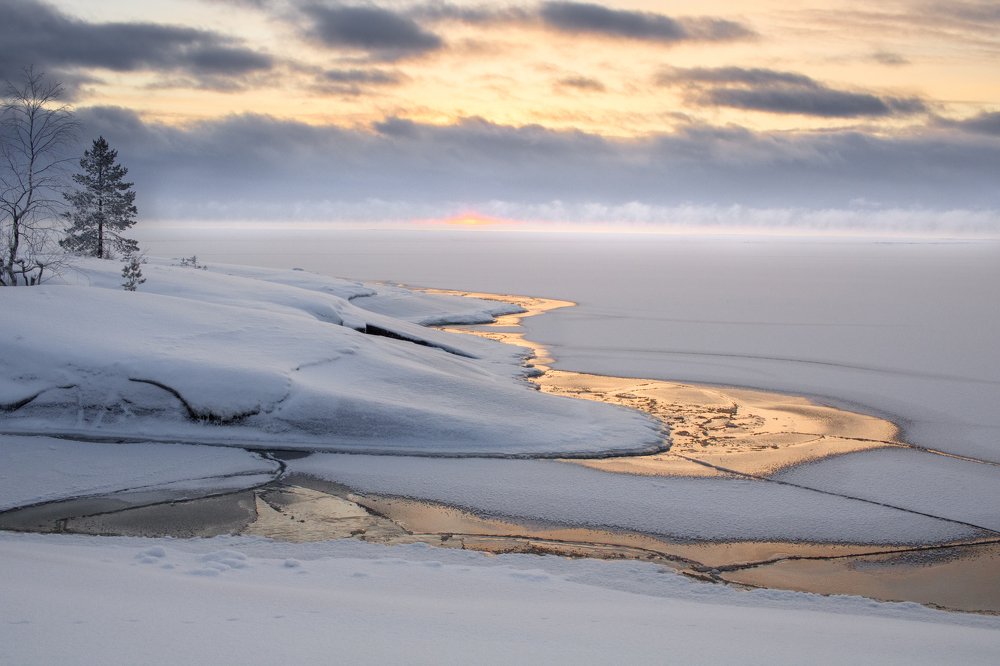 Photograph by Никита Луферов