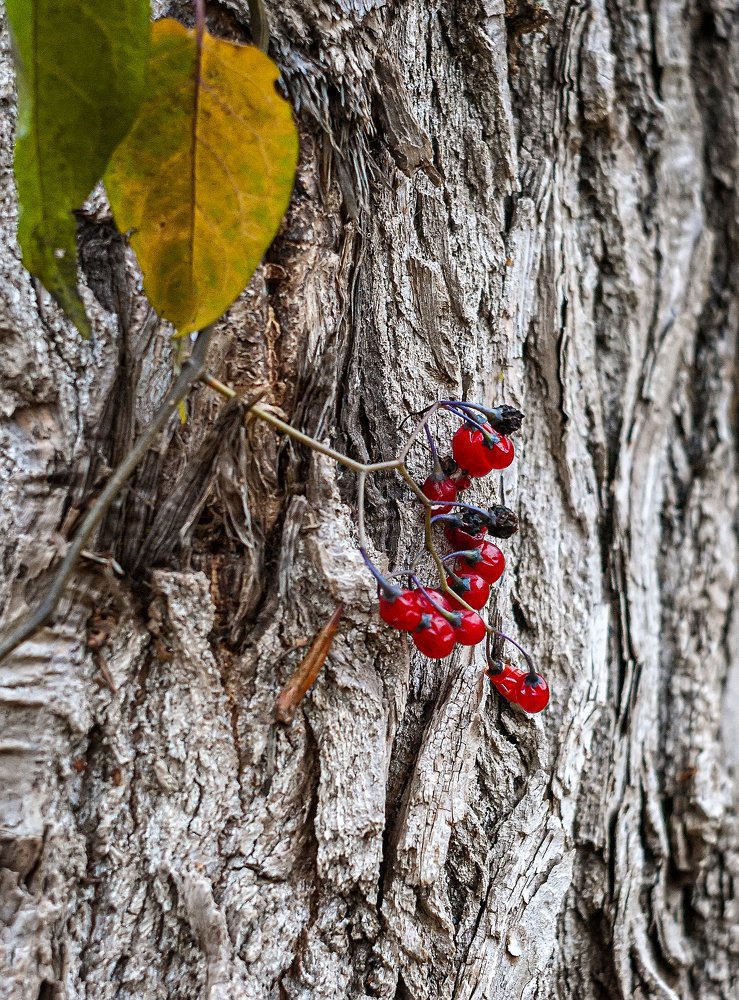 Photograph by Сергей Неудахин