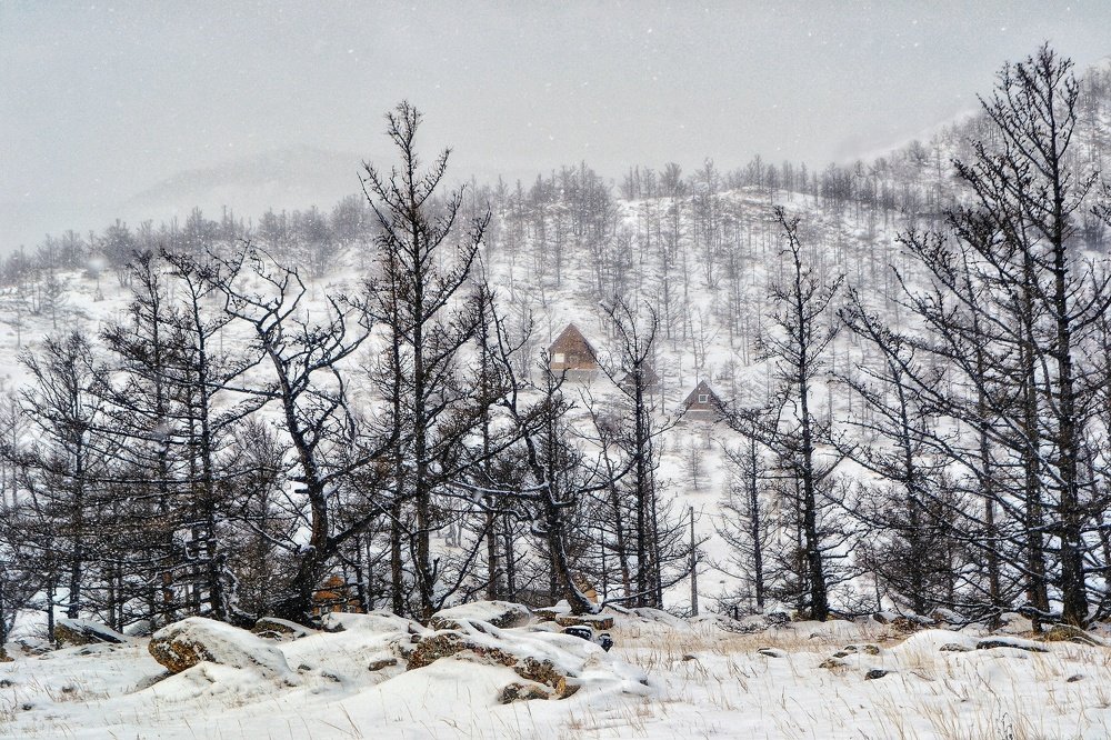 Photograph by Мари Стабровская