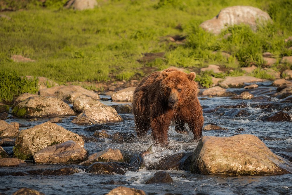 Photograph by Алексей Ознобихин