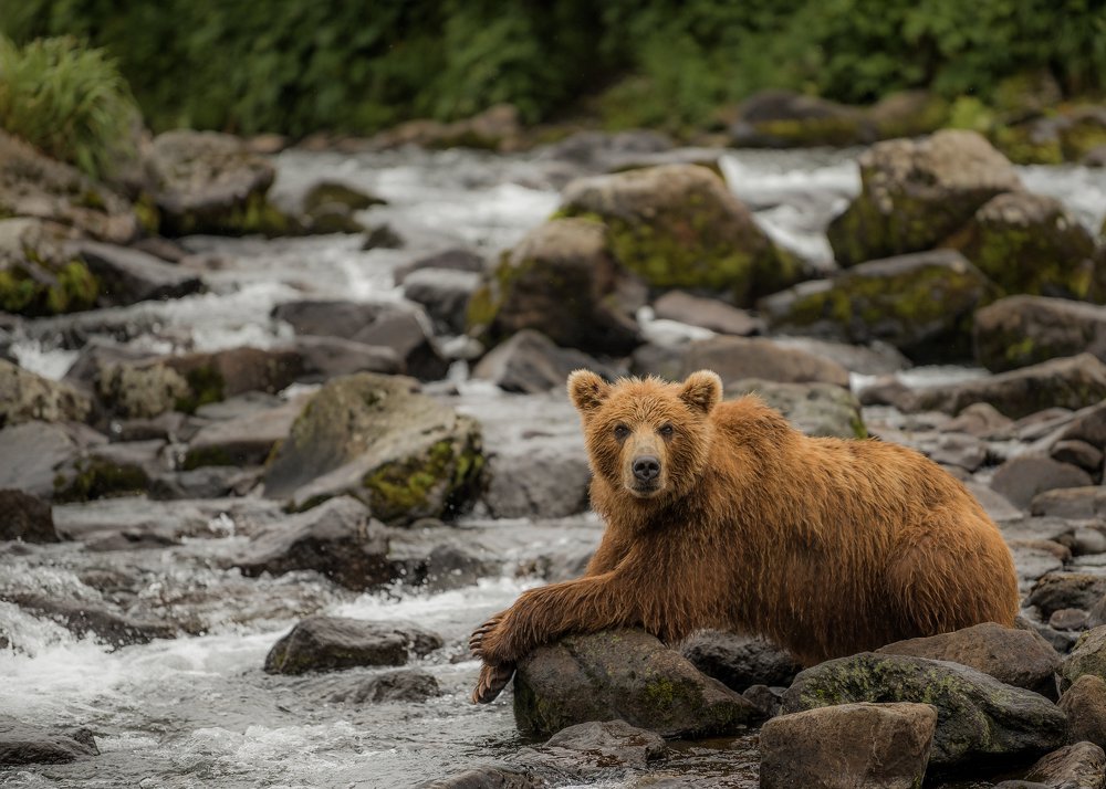 На отдыхе между рыбалкой..