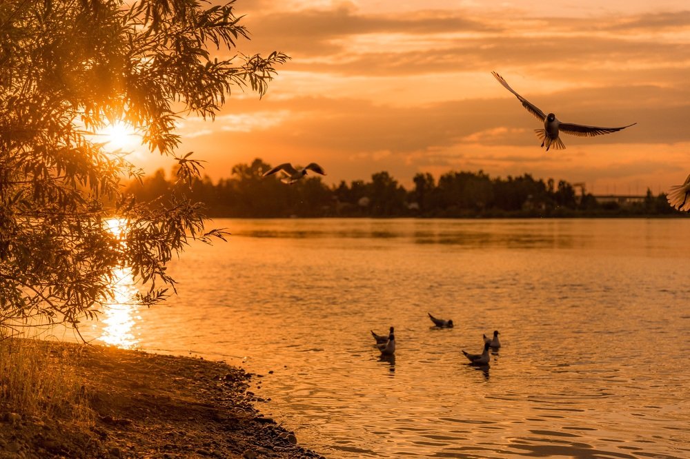 Photograph by Алексей Ознобихин