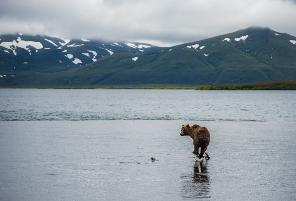 Photograph by Алексей Ознобихин