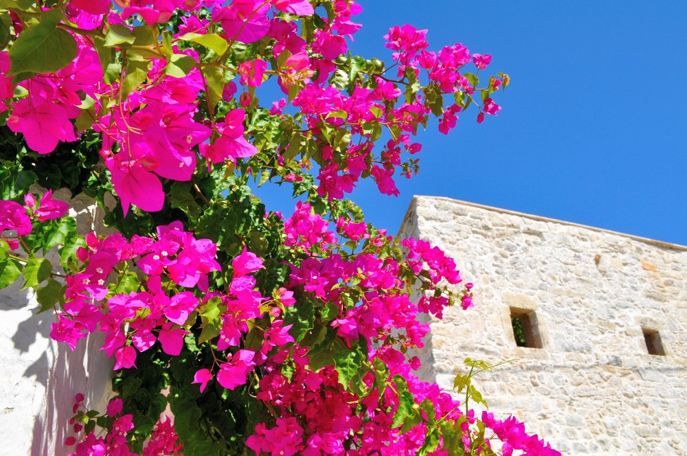 Photograph by Евгений