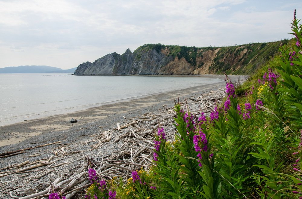 Photograph by Галина Проценко