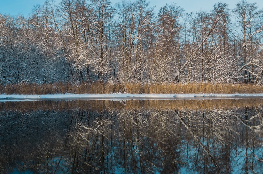 Photograph by Lerka Sonne