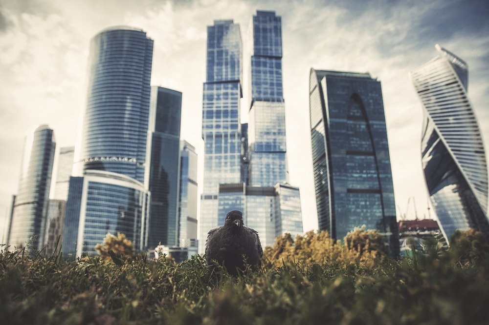 Photograph by Андрей Скрыльков