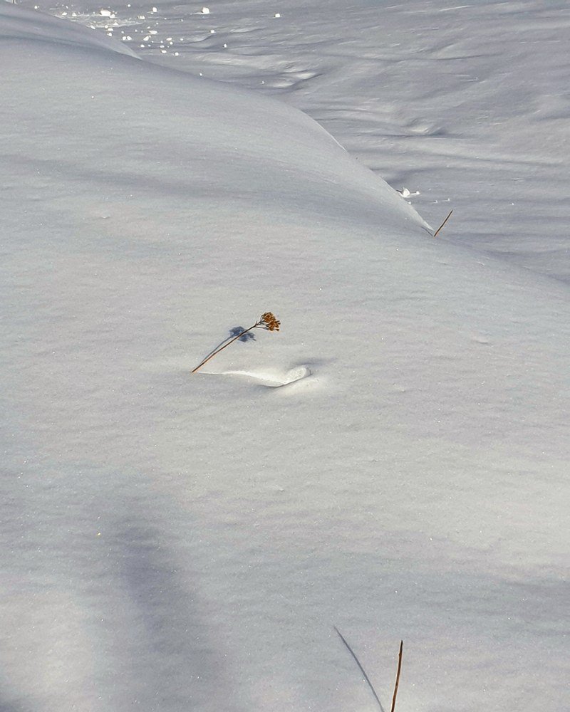 Photograph by Aza Mdinaradze