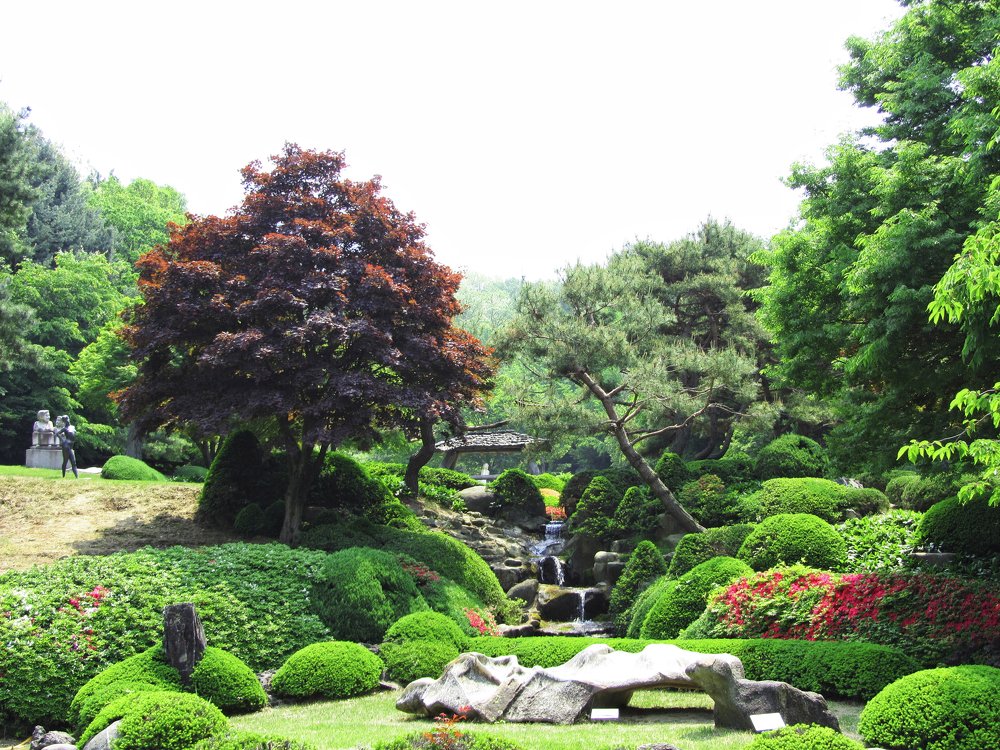 Сказочный лес