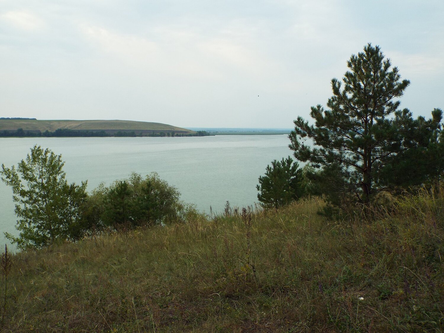 Photo #5523143