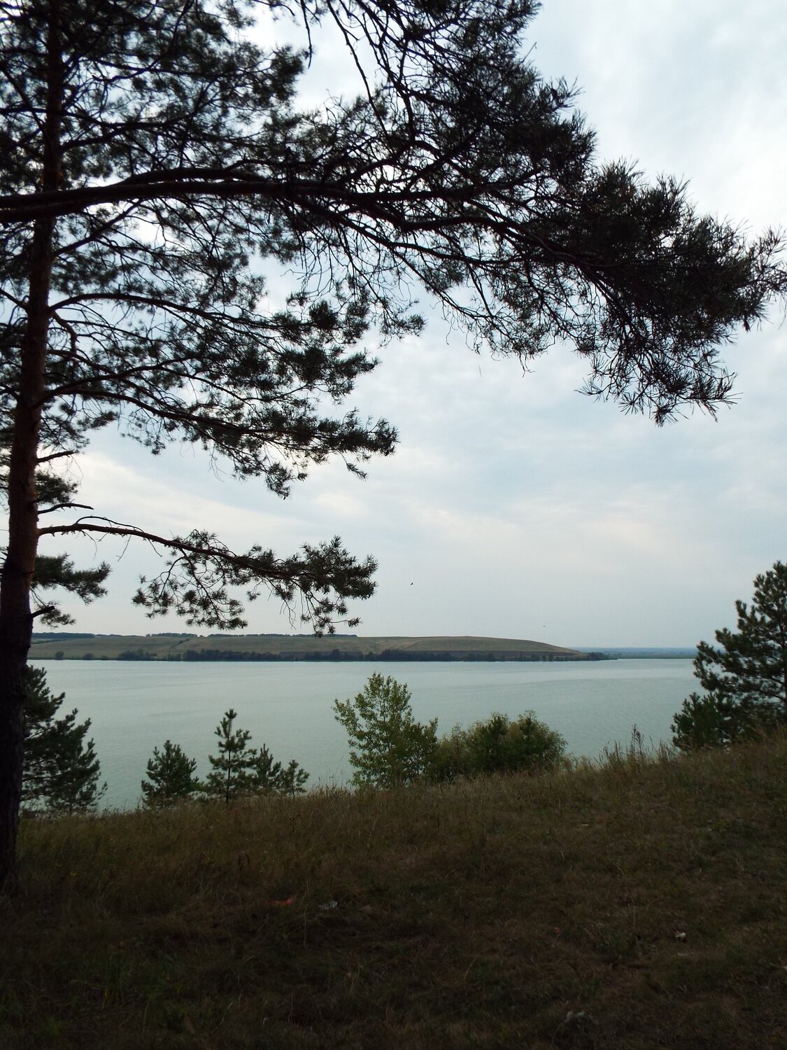 Photo #5523144