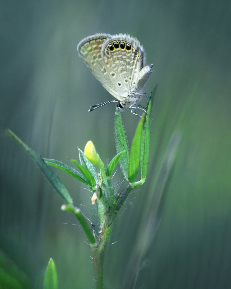 Photograph by Hemraj Chavhan A