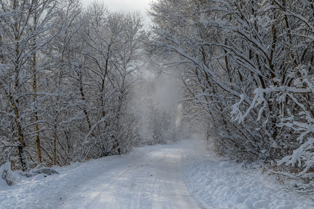 Фотография автора Алексей Гнедчик