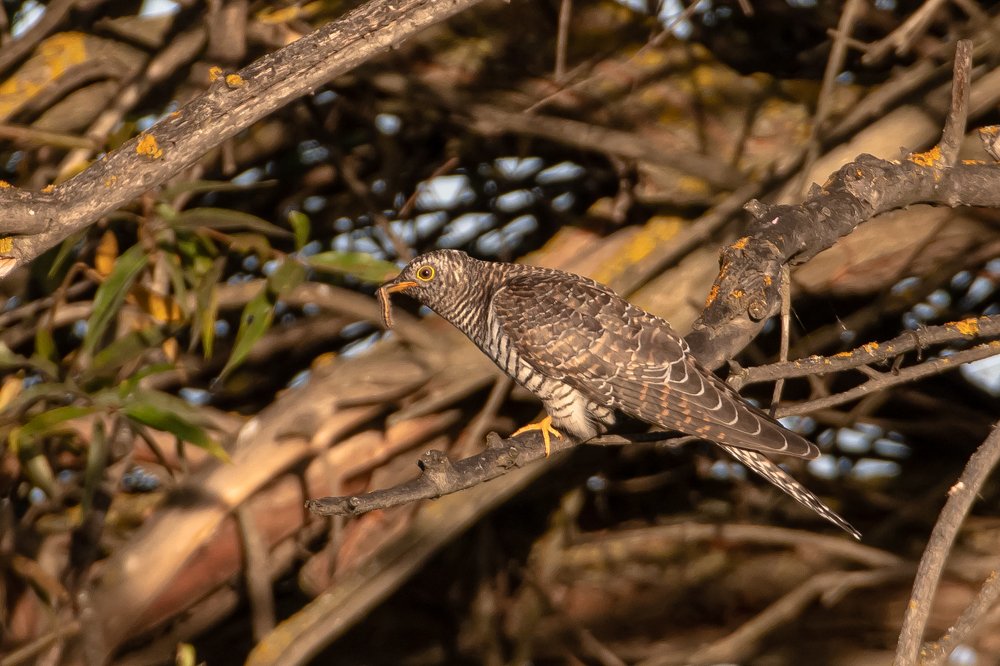 Photograph by Андрей Иванов