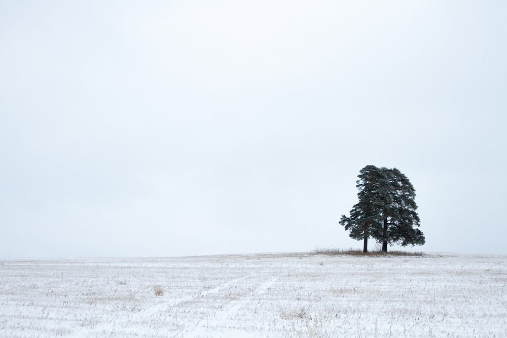 Photograph by Олег Иевлев