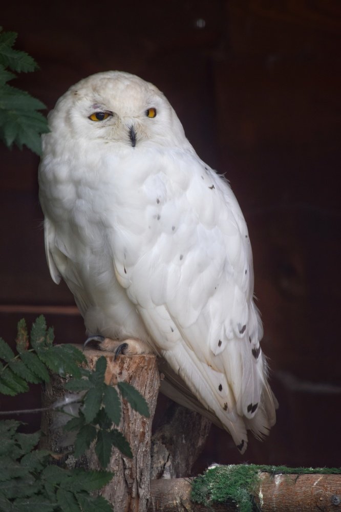 Photograph by Ирина Курицына