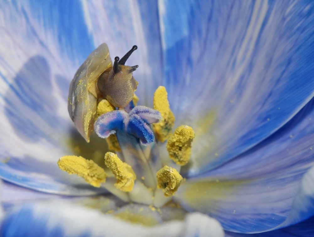 Photograph by Ирина Курицына