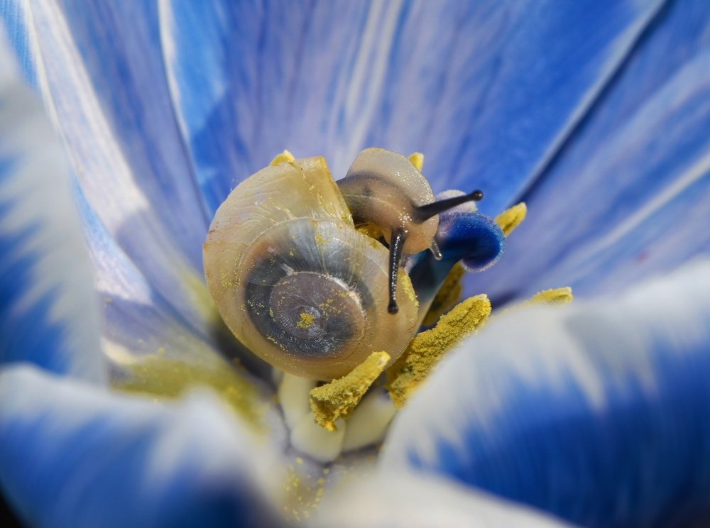 Photograph by Ирина Курицына