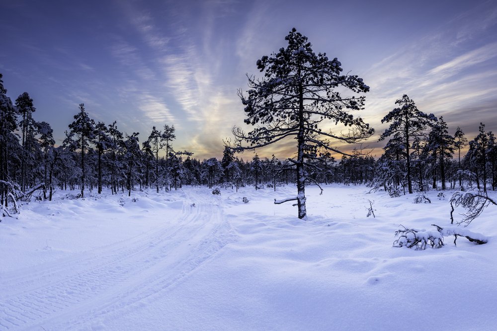 Photograph by Владислав Клименко