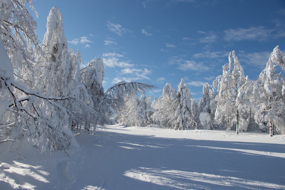 Photograph by Валерия Деменева