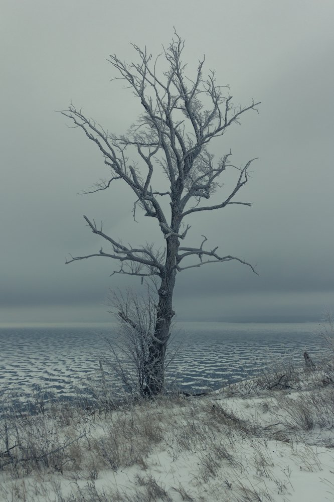 Photograph by Артем Карлов