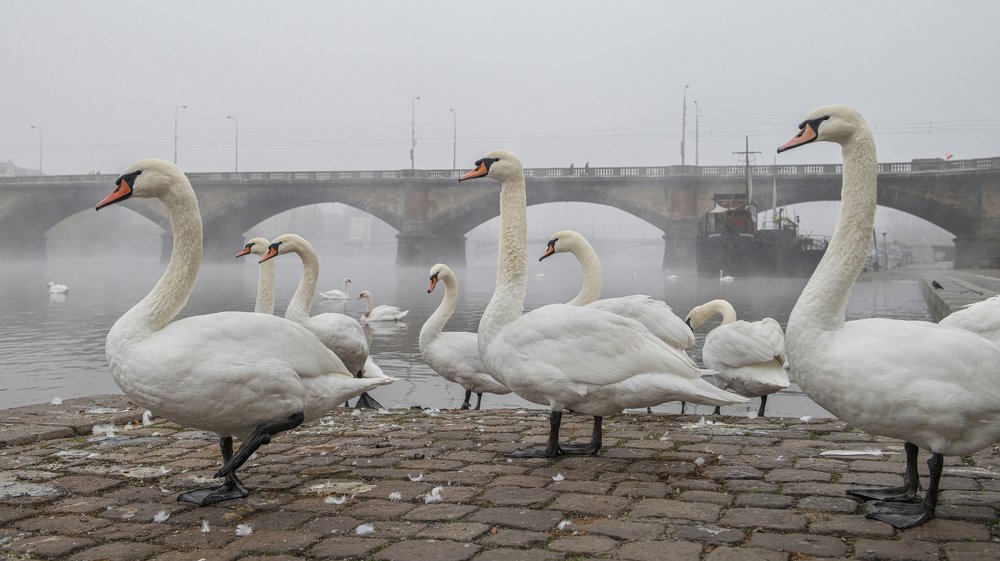 Photograph by peter cech