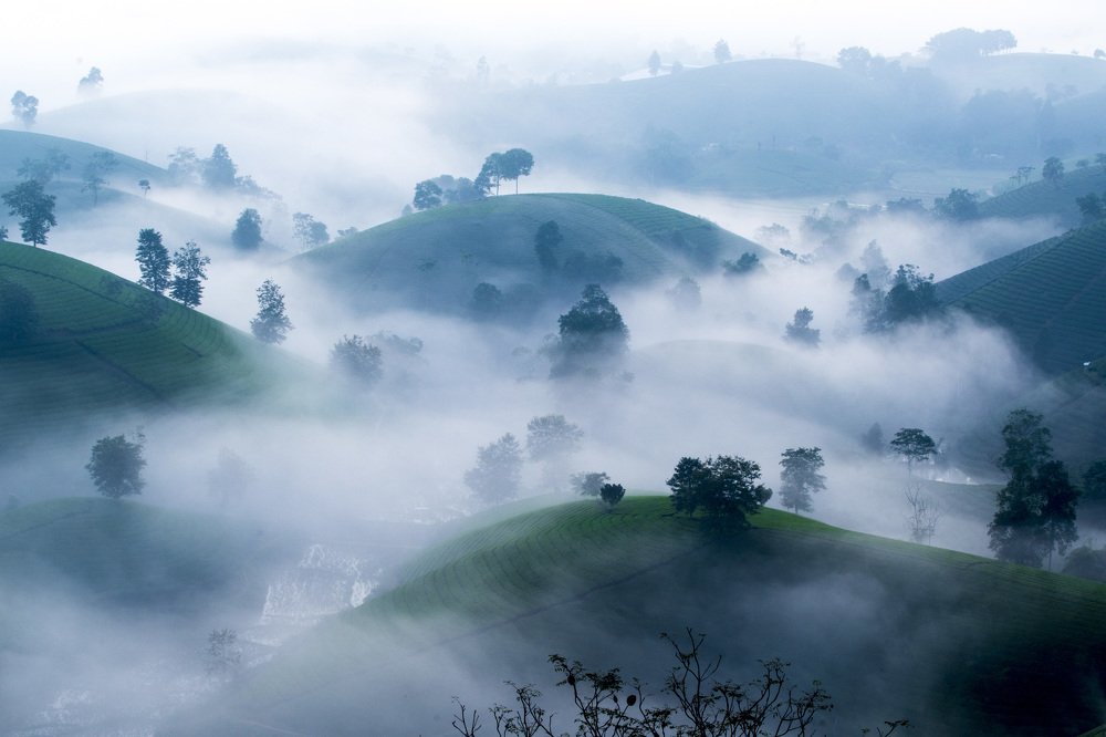 dawn on the Tee hill