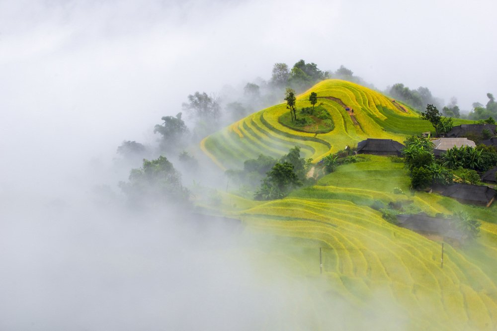Фотография автора Tuan Guitare