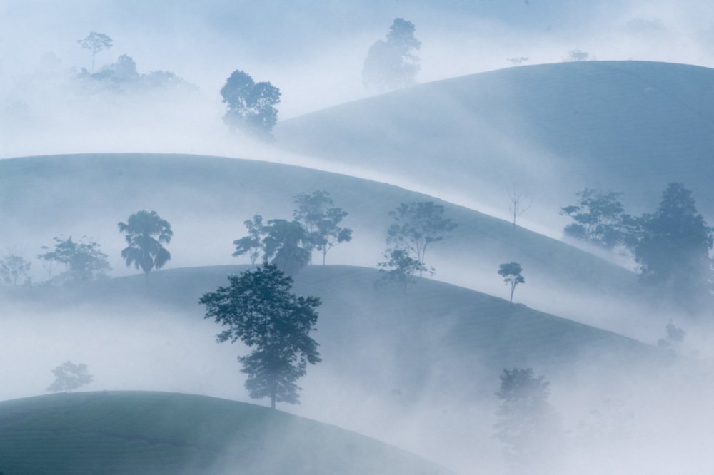 Фотография автора Tuan Guitare