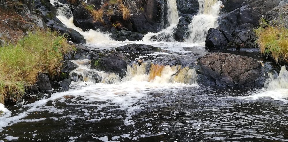 Тёмные воды