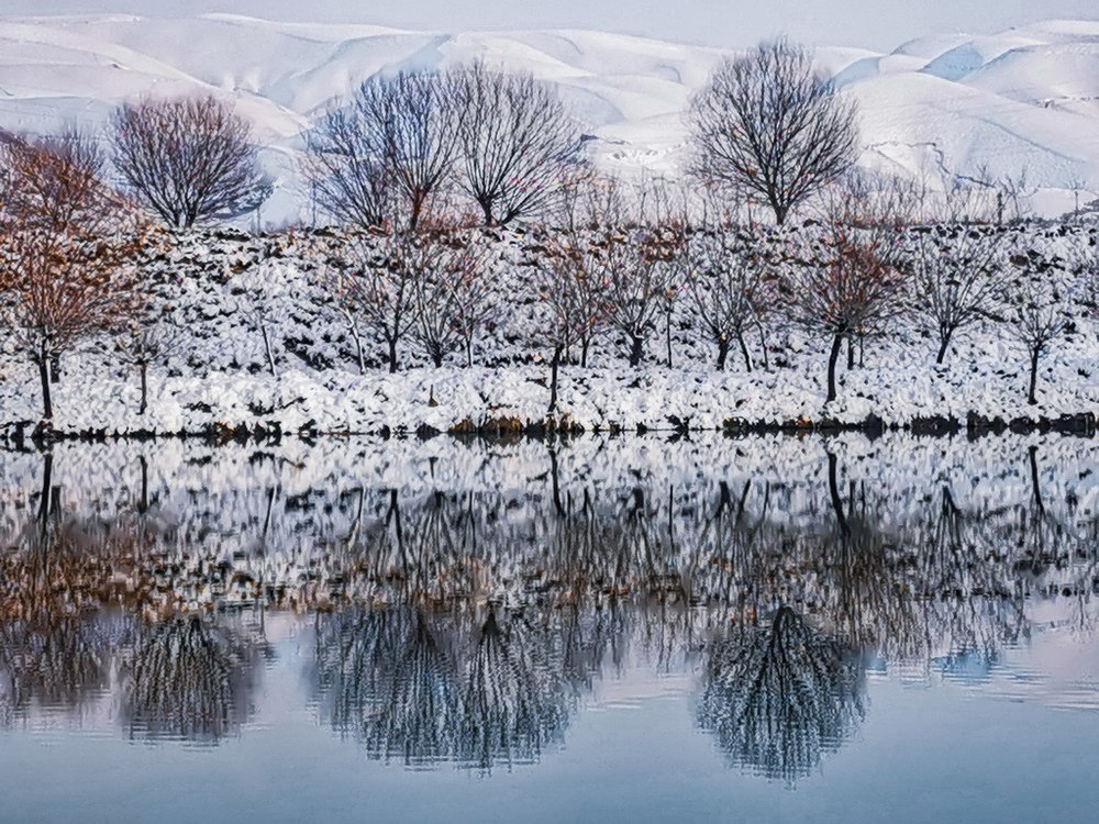 Photograph by Oleg Guchgeldiyev