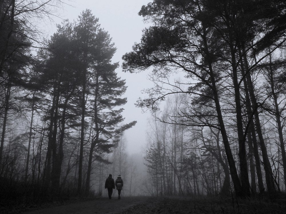 Photograph by Дмитрий Крылов