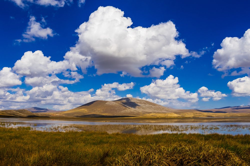 Photograph by Levan Svanidze