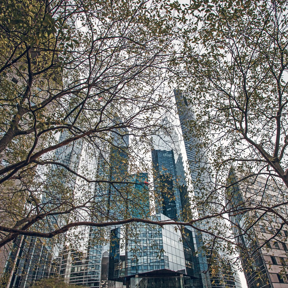 Photograph by Ольга Воронова