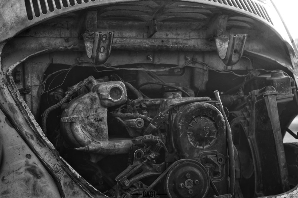 Photograph by Ahmed Bagi