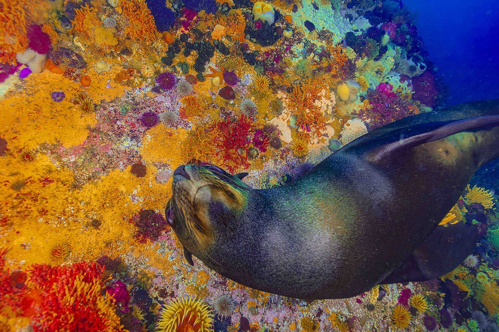 Photograph by Peet J Van Eeden