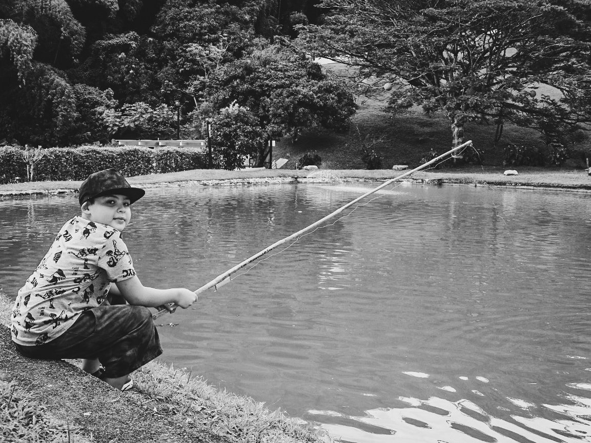 Photo #5523878