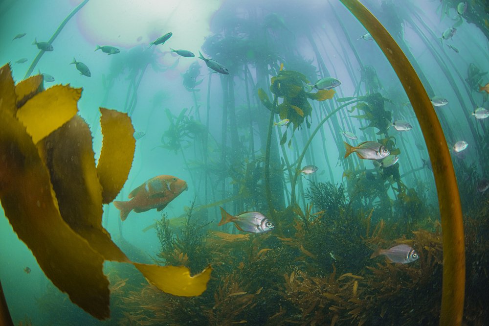 Photograph by Peet J Van Eeden