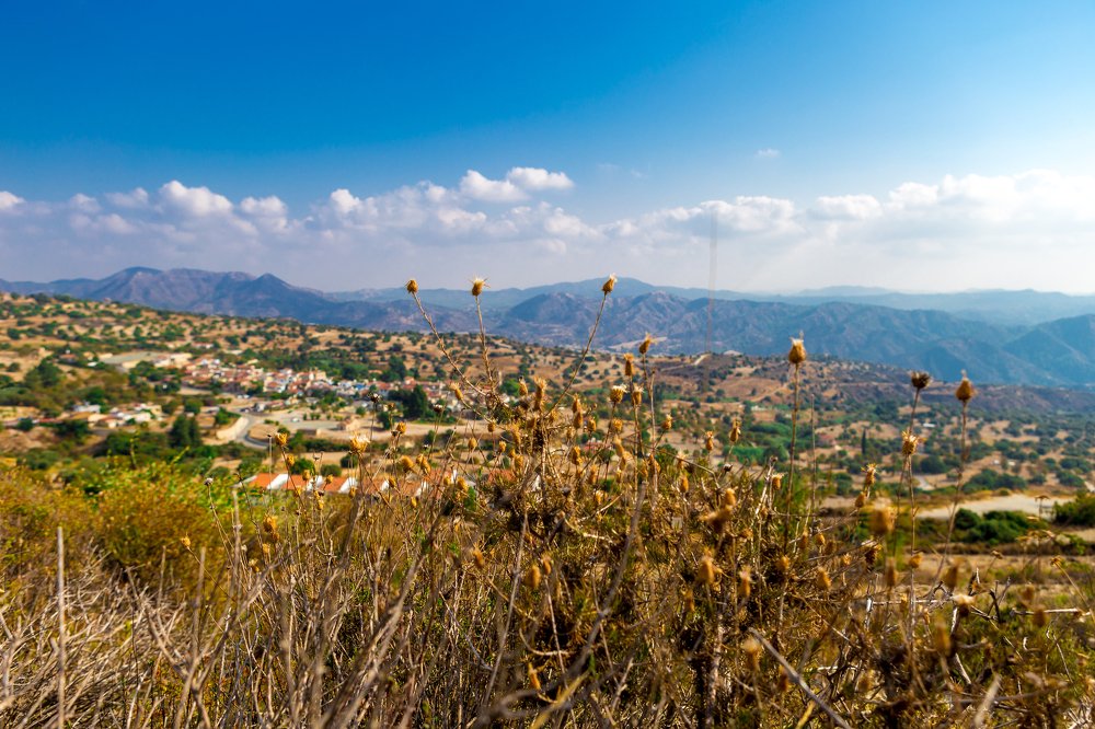 Photograph by Владимир Еловских