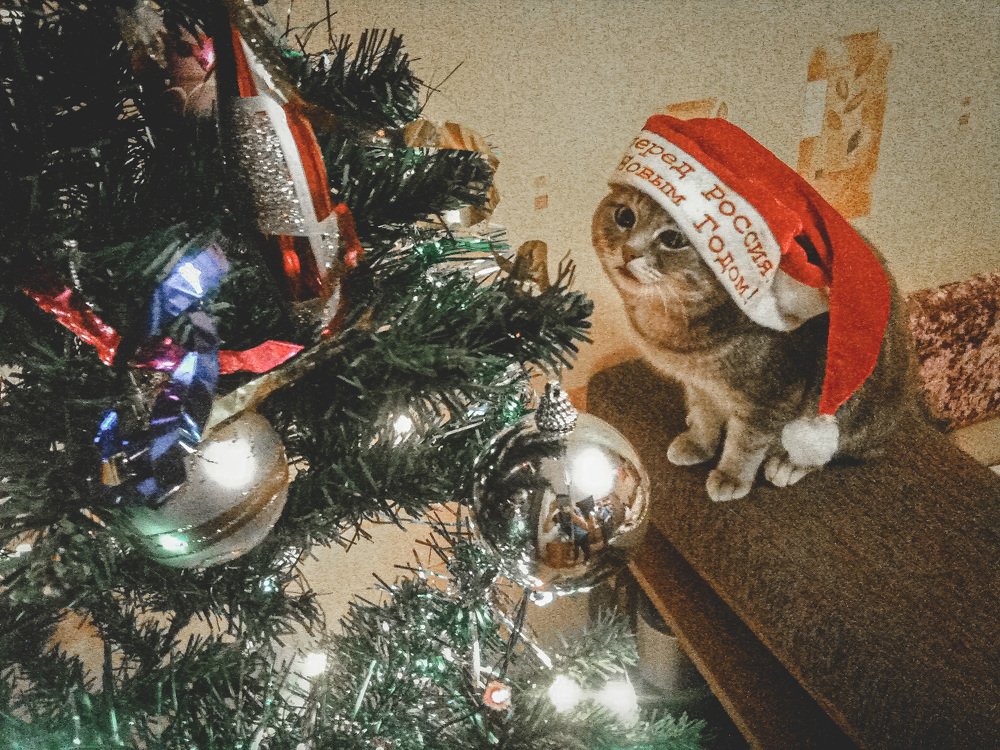 Photograph by Владислав Урдин