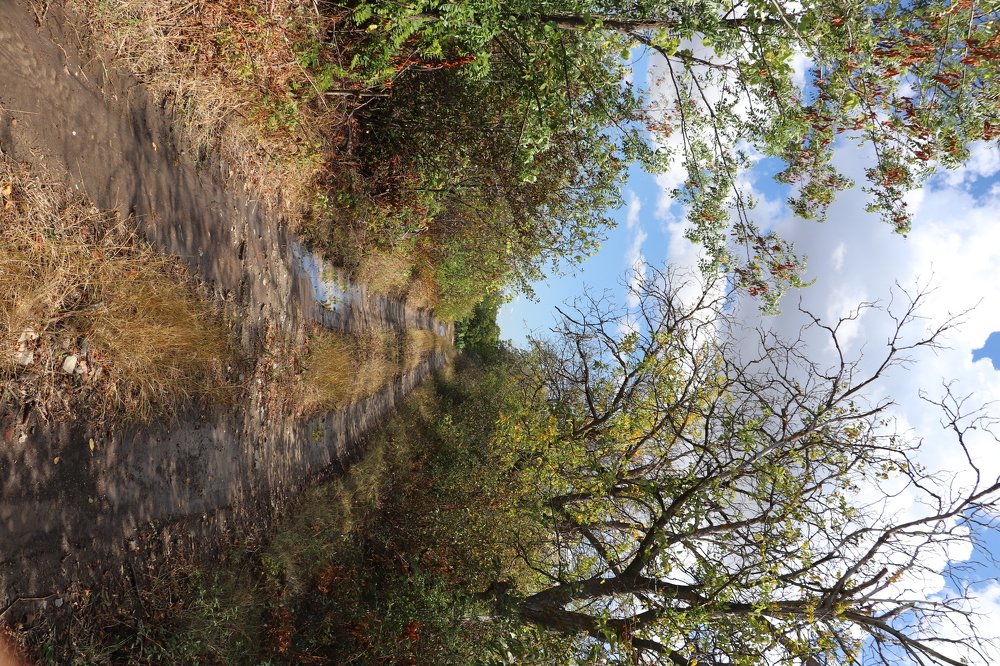 Photograph by Nicolae Dudnicenco