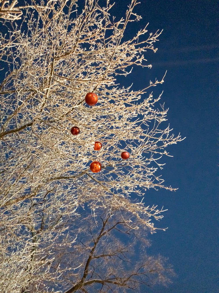 Photograph by Владислав Урдин