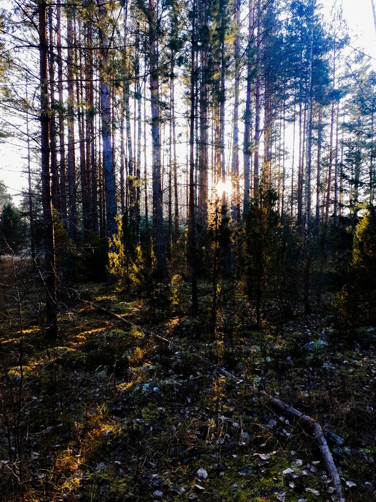 Photograph by Kristiina Soots