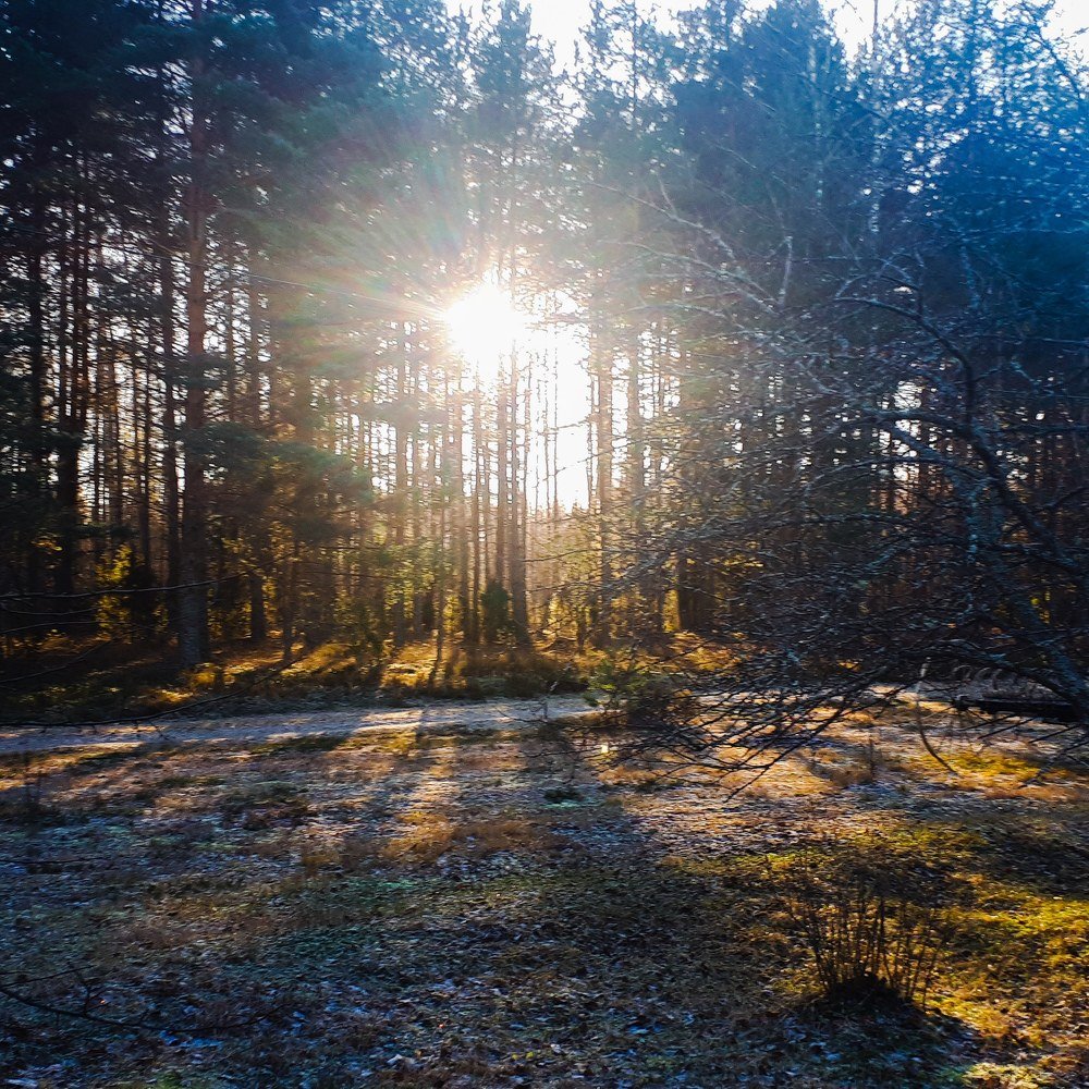 Photograph by Kristiina Soots