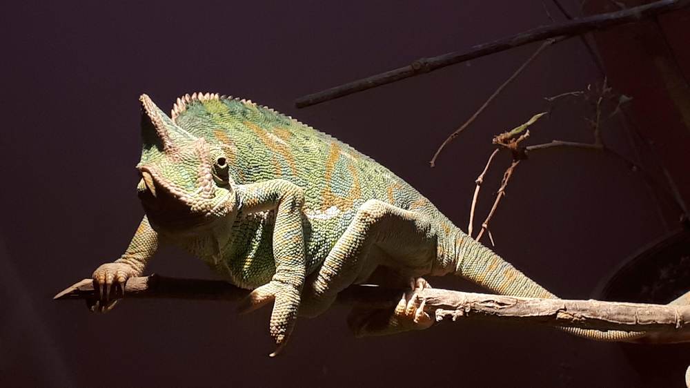 Photograph by Kristiina Soots