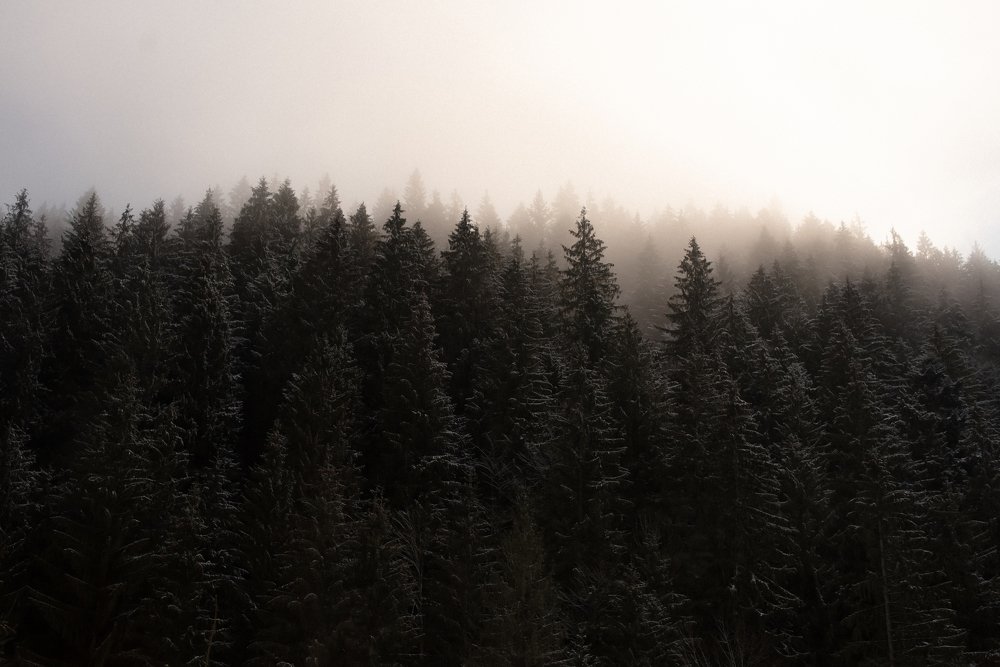 Photograph by Ксения Гончарова