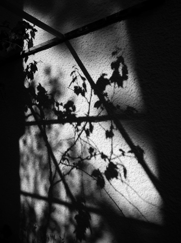 Photograph by Анастасия Озсой