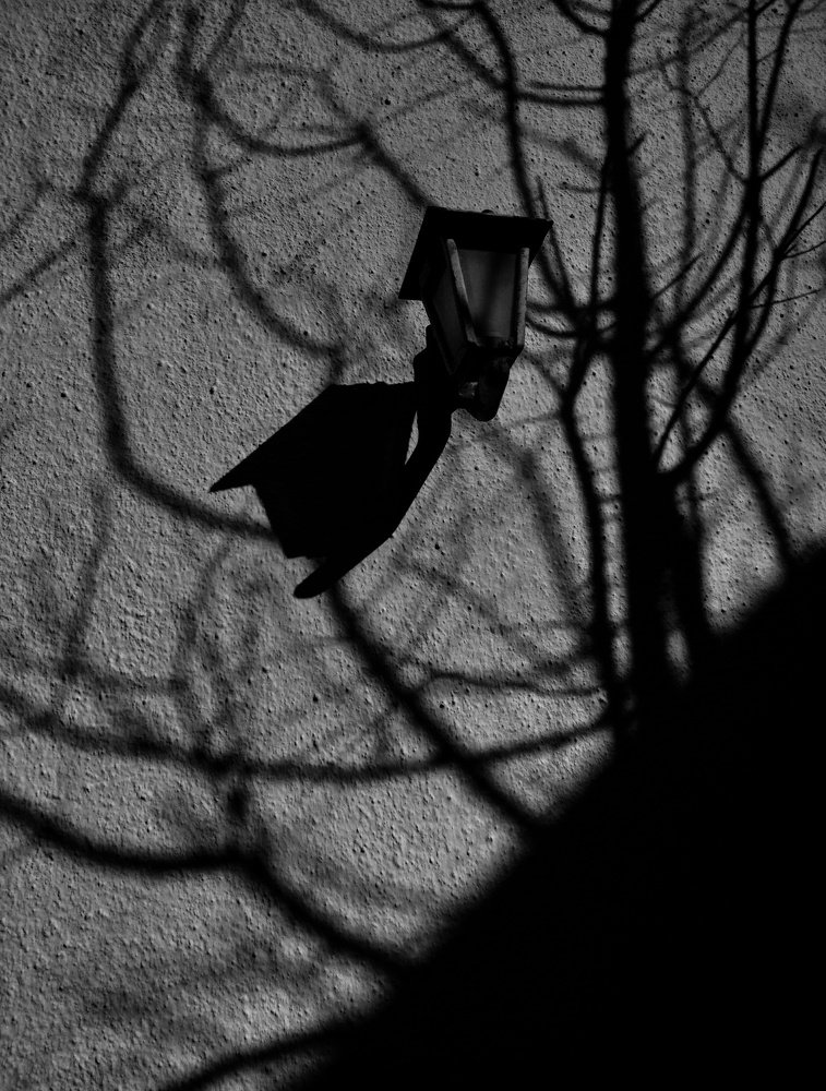 Photograph by Анастасия Озсой